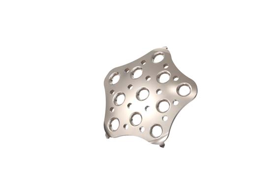 AS. Patella Plate